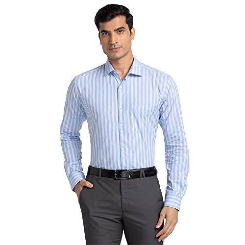 Image of Park Avenue Men's Pure Cotton Stripe Pattern Slim Fit Ainsley Collar Full Sleeve Formal Shirt