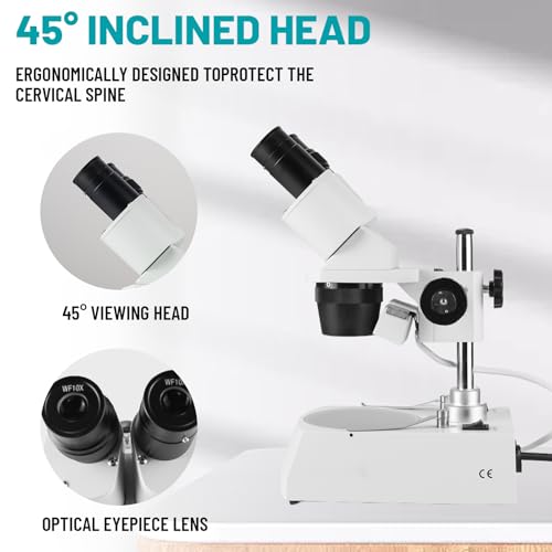 Image of Stereo Microscope，Binocular Microscope, WF10x and WF20x Eyepieces, 10X-80X Magnification, Upper and Lower LED Light Source, Pillar Stand,120V Power Supply and Lithium Battery