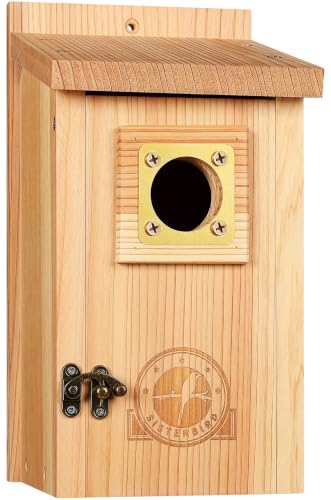 SISTERBIRD Cedar Bird House with Copper Guard