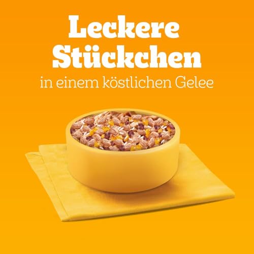 Pedigree DOGCARE Hundefutter Portionsbeutel Chunks in Gelee Junior 4 x 12 x 100g