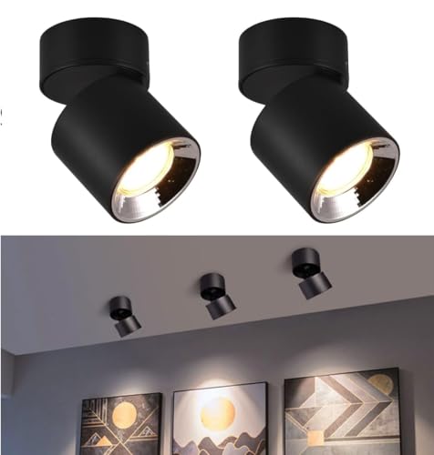 Groeien Pack of 2 | 12W LED |360°Rotatable Surface Light | COB Black Body Cylindrical Surface Light for Living Room, Corridor, Kitchen, Home, Office, Showroom, Indoor & Outdoor Lighting(Warm White)