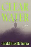 Clear Water: A Novel (English Edition)