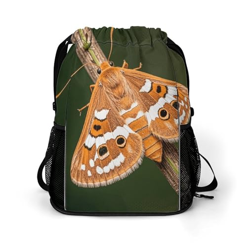 Sac à dos de sport pour randonnée et fitness léger à motif papillon