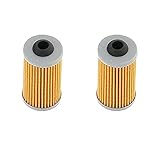 XARONF 50474300 01635210 50474302 Fuel Filter for Hatz 1B Series (Color : 2 PCS), XARONF123