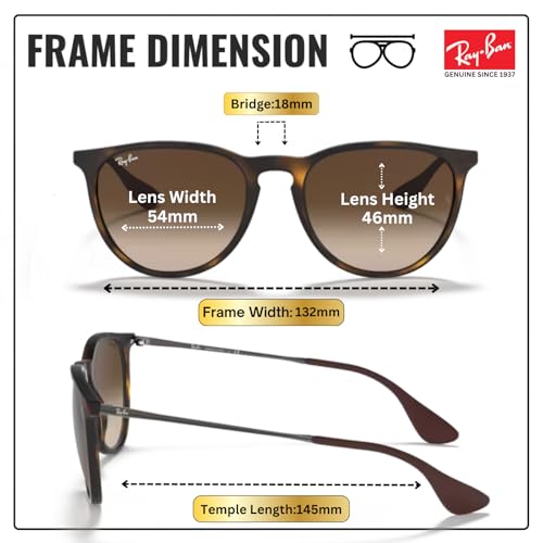 Image of Ray-Ban RB4171 ERIKA CLASSIC Phantos Shaped Sunglasses for Women with Official RAYBAN Eyewear Kit