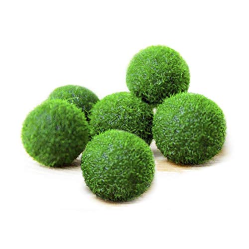 The 25 Best Moss Balls for Aquariums and Fish Tanks of 2020