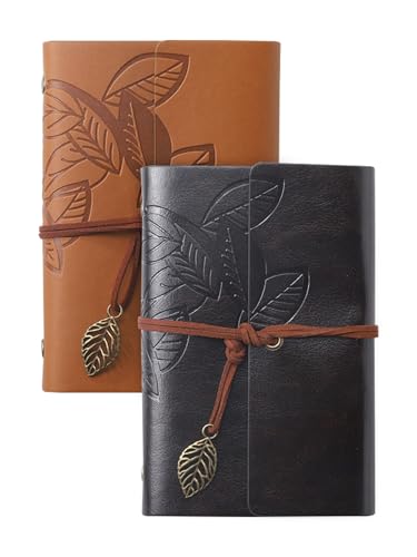 Journal en cuir pour cadeau homme et femme LIONSOUL lot de 2 carnets vintage rechargeables