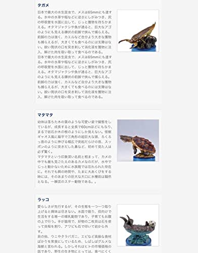 日本水族館立体生物図録2 全15種コンプリートセット➖新品未開封➖