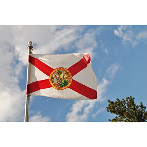 Drapeau de Floride 9,5x15,2 cm brodé FRF FLAG en nylon 210D résistant avec oeillets - 7