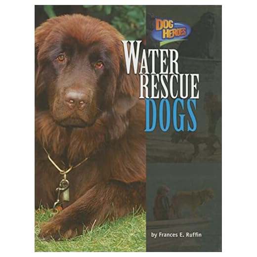Water Rescue Dogs: The Heroes of the Sea
