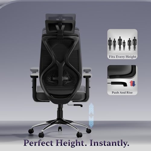 Image of Titan Ergonomic Office Chair for Home & Office | Adjustable Armrests | 120 Recline | Lumbar Support | Thick Cushioned Seat | Heavy-Duty Base | 3 Years Warranty (Black)