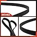 A-Premium 47.8 Inch Engine Serpentine Drive Belt Compatible with Chevrolet, Jeep, Fiat, Oldsmobile & Pontiac Cars - Malibu 1999, Cavalier 1999-2002, Renegade, 500L, 500X, Grand Am, Sunfire, Alero