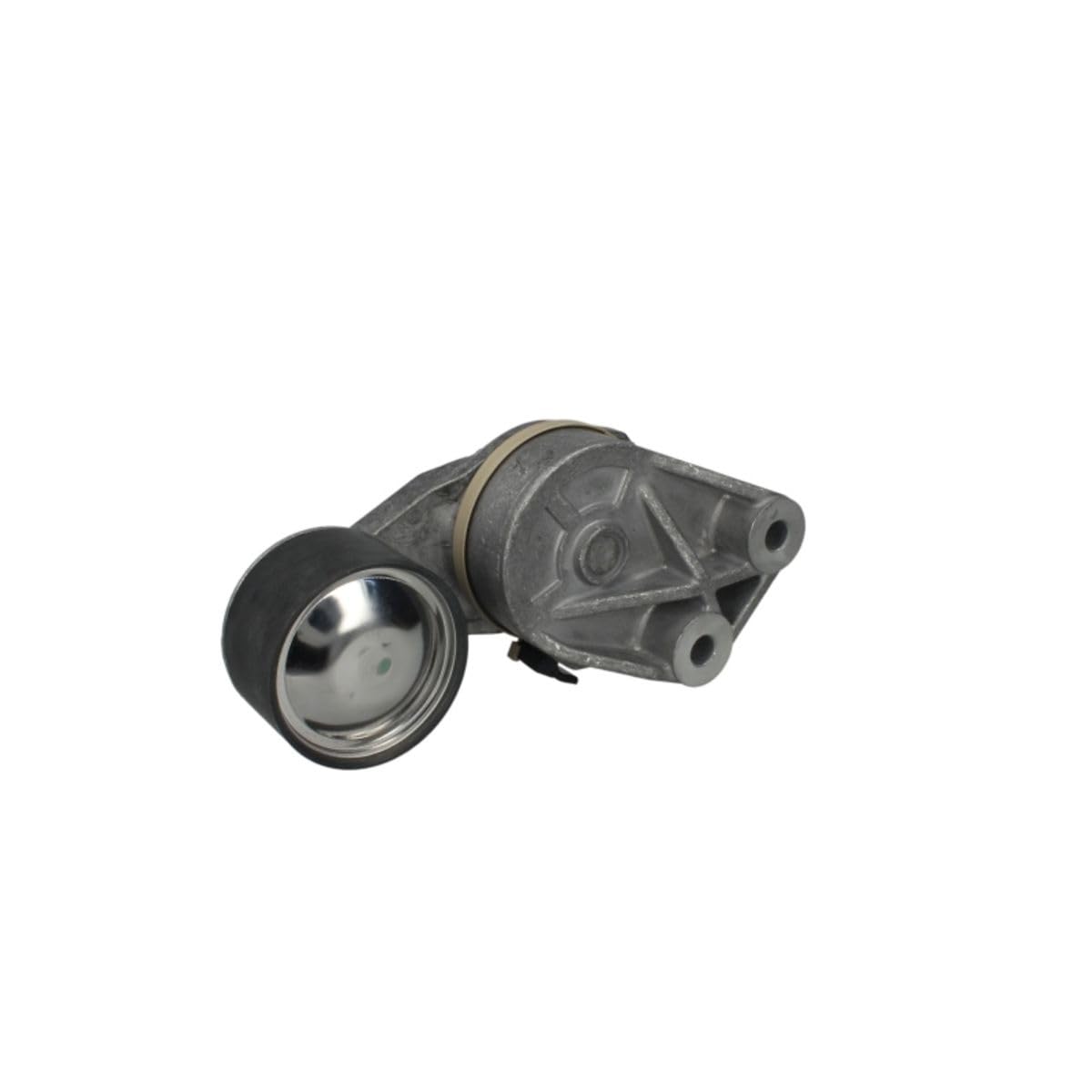 Dayco APV2400 Tendicinghia, Cinghia Poly-V