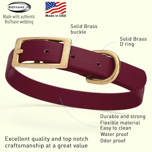 Image of Viper Biothane Heavy Duty Waterproof Dog Collar Strong Coated Nylon Webbing w /Solid Brass Hardware Odor-Proof Easy to Clean High Performance Fits Small Medium or Large Dogs, Merlot Burgundy