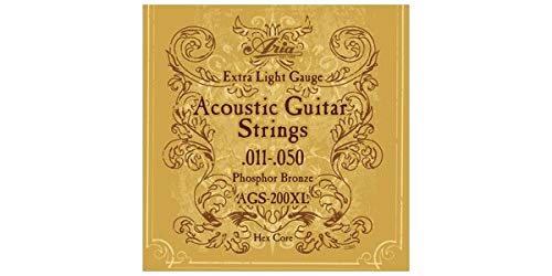 ARIAPROII (AAvc[) AR[XeBbNM^[ AGS-200XL