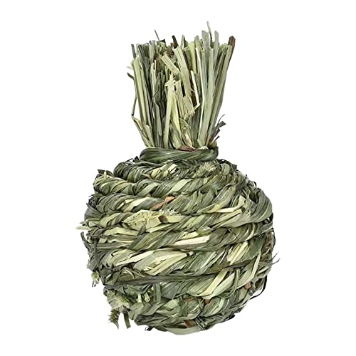 p`[CO{[ c[ ybgP[WANZT[ ETMp Abv 