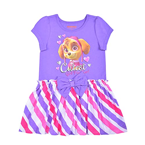 Nickelodeon Girls' Little 2 Pack Paw Patrol Dresses4