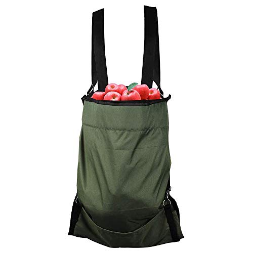 Mecoyas nGv nobO ʎn ʕƖ؂̃sbLO ʎpn ʕ̎nobO TCN ؉\nobO jp