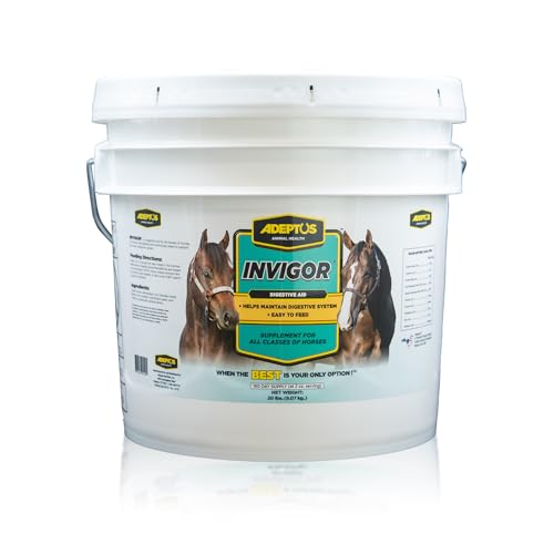 Adeptus Nutrition Invigor EQ Joint Supplements, 20 lb./12 x 12 x 12