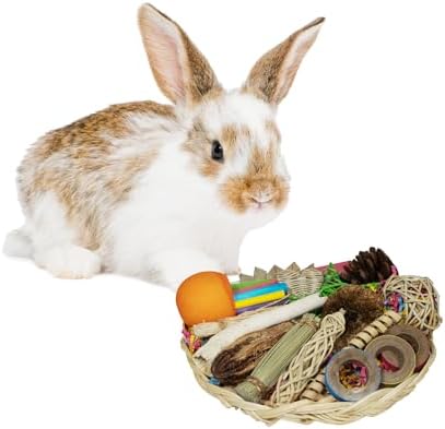 Super Bird Creations SC228 Bunny Foraging Basket - Toss & Chewable Bamboo Plate w/ 25 Engaging Toys - Ideal for Rabbits Hamsters Cockatiel Parrot - Bundle Toys for Medium Birds & Small Animals, 9"x9" image 5