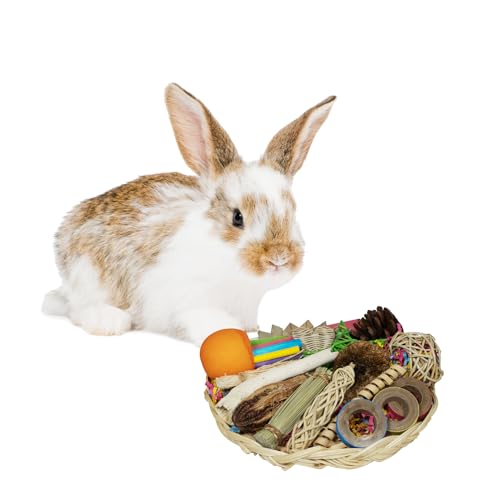 Super Bird Creations SC228 �o�j�[�̉a�o�X�P�b�g - �g�X&�`���A�u���o���u�[�v���[�g 25�̖��͓I�Ȃ�������t�� - �E�T�M�n���X�^�[ �I�J���C���R �I�E���ɍœK - ���^���Ə������p�̃o���h����������A9�C���`x9�C���`