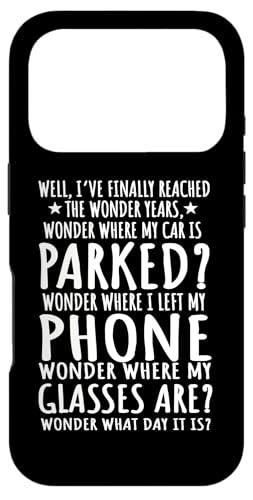 VjAV`Y ސE N󋋎  _[C[ X}zP[X iPhone 17 Pro p