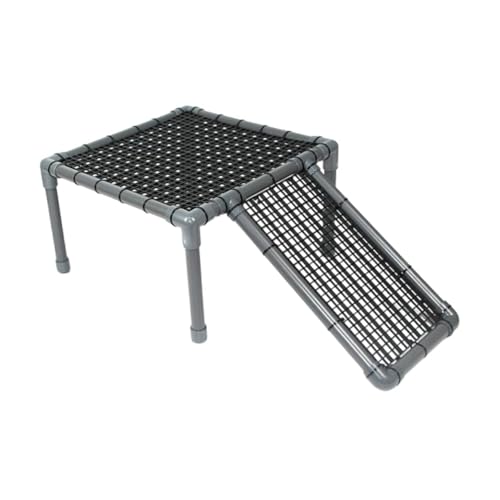 Dragons barbus et petits repti : plateforme de bronzage stable - 2