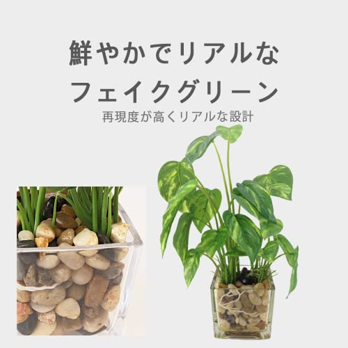 AZNABLE 観葉植物 フェイク 卓上 ミニ フェイクグリーン おしゃれ 可愛い 室内 小さい 北欧 (常緑樹) [3]