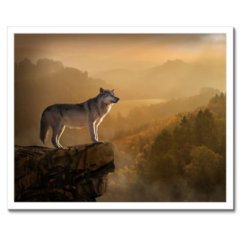 Cadre poster loup gris 50 x 40 cm - Cadeau idéal pour passionné de nature