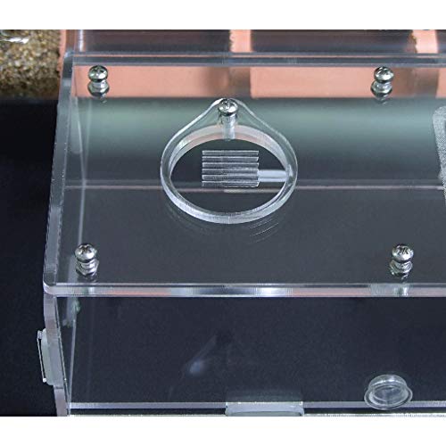 ZSBY Mieren boerderij insectenmier villa mieren huis mieren nest acryl insect villa 25x200mm bamboe glazen buizen… - Afbeelding 4