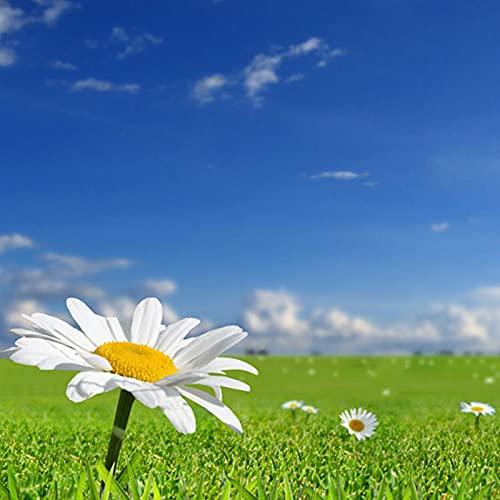 One Sunny Day cover art