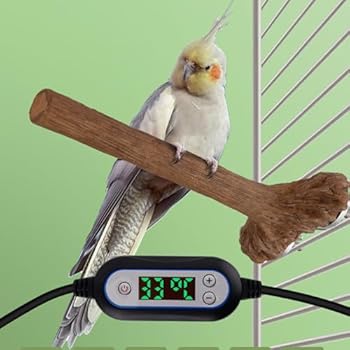 Perchoir Chauffant Pour Oiseaux - Confort Thermique Pour Perroquets, Calopsittes, Intérieur/extérieur, USB