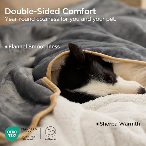 Bedsure Waterproof Dog Blankets for Small Dogs - Small Cat Blanket Washable for Couch Protection, Sherpa Fleece Puppy Blanket, Soft Plush Reversible Throw Furniture Protector, 25
