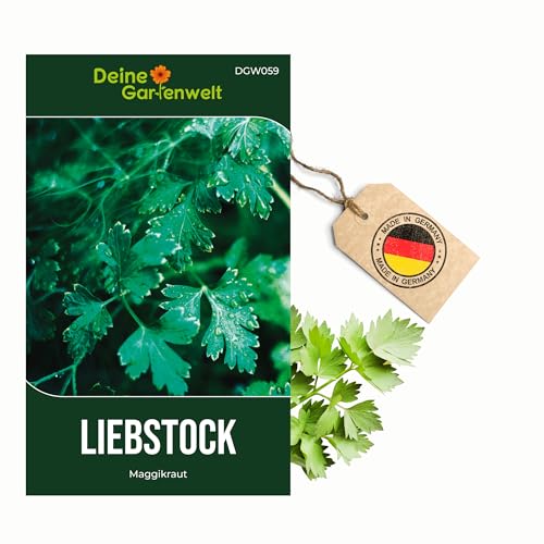 Liebstock Maggikraut Samen Liebstöckel Samen Levisticum officinale Kräutersamen Saatgut für ca. 30 Pflanzen würziges Küchenkraut für Garten & Hochbeet