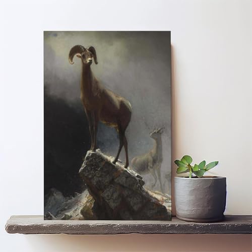 Impression sur toile tableau Rocky Mountain Sheep déco bureau moderne - 2