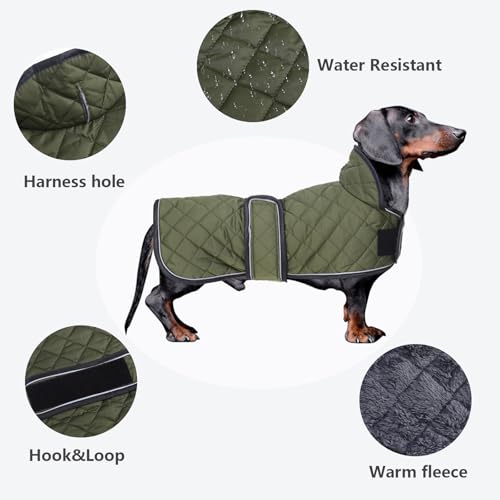 MOREZI Hundemantel Winter für Dackel - Wasserdichter Hunde Pullover mit Wolle Futter & Verstellbaren Gurten, Warmer Wintermantel für Kleine Hunde im Freien-Grün-M