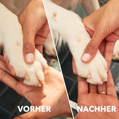 Dremel 7350 PET Krallenpflegese mit 3.6V Akku-Rotationswerkzeug Einfach zu bedienende, leichte Krallenschleifmaschine mit 2 Schleifzubehören, 1 Schutzhaube & 1 USB-Kabel, geeignet für Hunde und Katzen