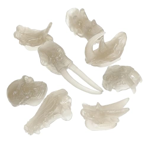 NOLITOY Modelo de Cráneo de Dinosaurio Luminoso para Niños, Tamaño Pequeño, Juguete Educativo de PVC, Decoración de Escritorio, Juego de Huesos Realistas para Diversión y Aprendizaje, Paquete 1 Set