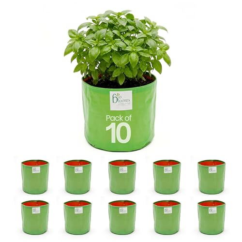 Image of Bio Blooms Round HDPE Plant Grow Bag for Terrace & Kitchen Gardening| Pack of 10| 12x12|200 GSM Heavy Duty Outdoor Grow Bag | Durable Planter for Vegetables, Flowers & Plants (Green & Orange)