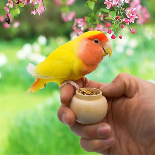 Boîte à nourriture oiseaux x6 réutilisable pour jardin - 3