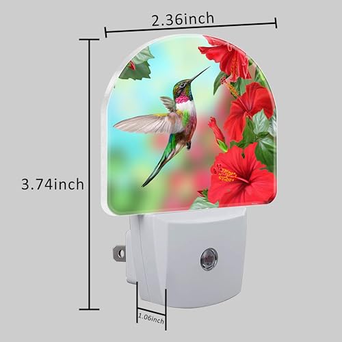 Image of Hummingbird on Lossoming Red Flower Night Light Plug into Wall with Dusk to Dawn Sensor Cute Nightlight for Kid Girls Boys Women Men Room Decor, Hallway, Kitchen, Bathroom, Nursery, Stairs