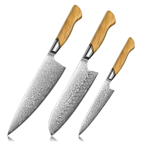 TIVOLI Damascus Kitchen Knife Set,3 PCS Japanese Chef Knife Set,VG-10 Damascus Santoku Paring Knife with Olive Wood Handle,Ideal Gift