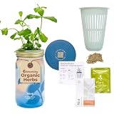 Modern Sprout Mason Garden Jar - Self-Watering Hydroponics Growing System Kit with Organic Herb Seeds - Jar Planter for Indoor Herb Garden - Seed Starter Kit - Home Decor - Gift for Mother's Day -Mint
