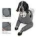 Vorderbein Ärmel für Hunde, Single Front Leg Recovery Sleeve Hund Vorderbeinschoner Ellenbogenbandage Protector für Hot Spots Wunden Bandagen Hundeschenkel Schutz Bodysuit(Grau, S)