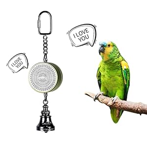 Bird Toys Parrot Talking Coach & Interactive Voice Bell for Parakeet, African Grey, Amazon Parrots, Quaker, Cockatiel, Conure (Green)