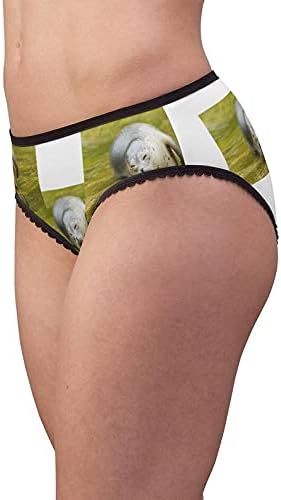Common Seal Resting Panties, Common Seal Resting Underwear, Briefs, Cotton Briefs, Funny Underwear, Panties For Women