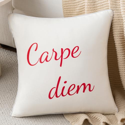 Mantle & Mason Super Soft Velvet Monogram Throw Pillow Covers 18x18 Seize Today Cute Retro Decorative Pillows for Couch Bed Sofa Living Room Positive Sayings Printed Home Decor White 1 Pc