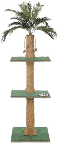 Cat Tree with Palm Top, Green Carpet, Manila Rope, 2 Platform, 60 Inches
