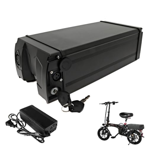 Batería de 60V 50Ah para portaequipajes trasero de bicicleta eléctrica y scooter urbano