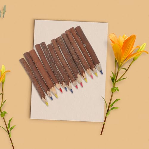 Lápices de colores con diseño de corteza natural en juego de 12 piezas con elegante base de madera 5